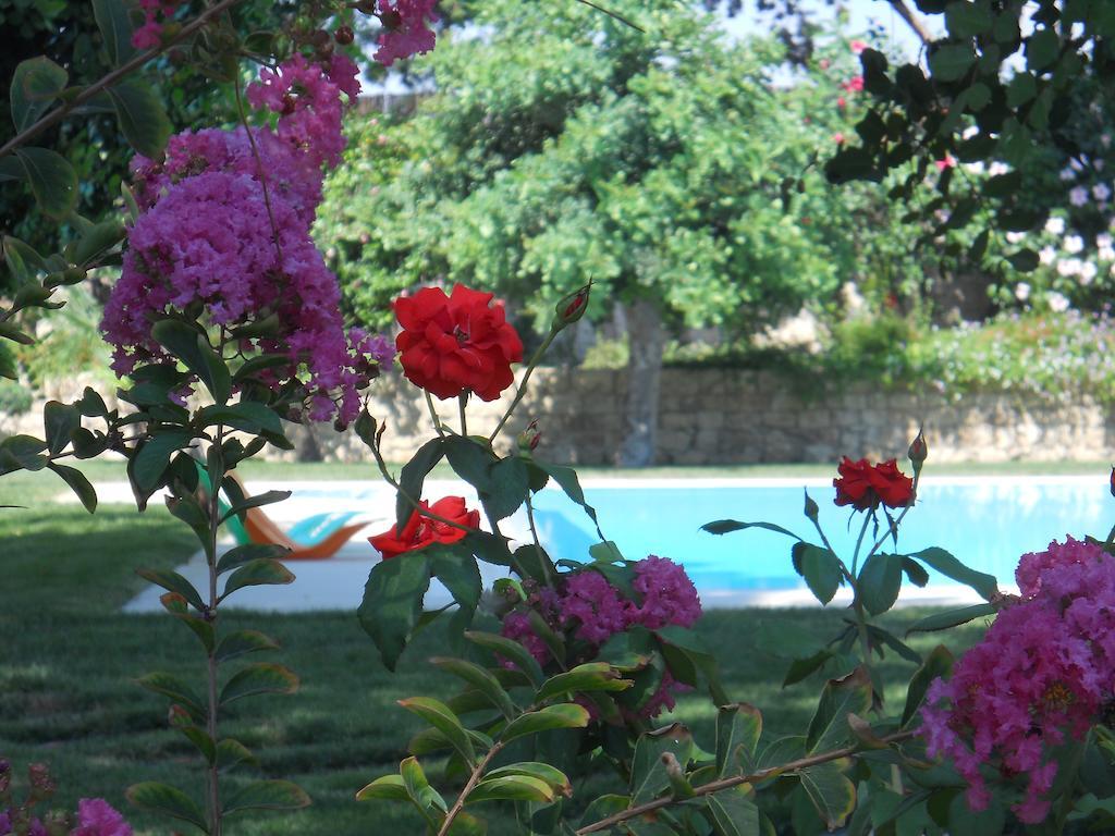Il Giardino Dei Carrubi Villa Donnalucata  Værelse billede