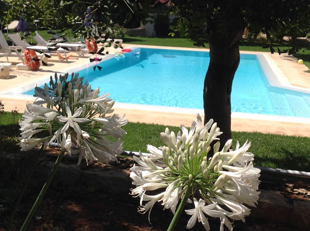 Il Giardino Dei Carrubi Villa Donnalucata  Eksteriør billede